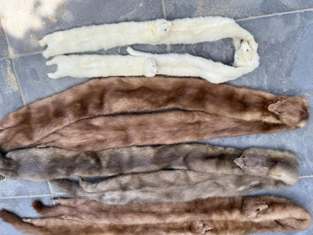 Netssjaal 5 stuks, Antiek en Kunst, Antiek | Kleding en Textiel, Ophalen, Dames