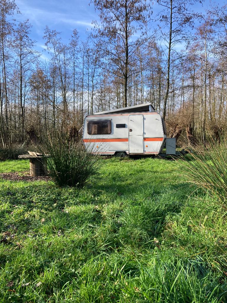 caravan rapido golf, Caravans en Kamperen, Treinzit, 5 tot 6 meter, 2 aparte bedden, Tot 500 kg