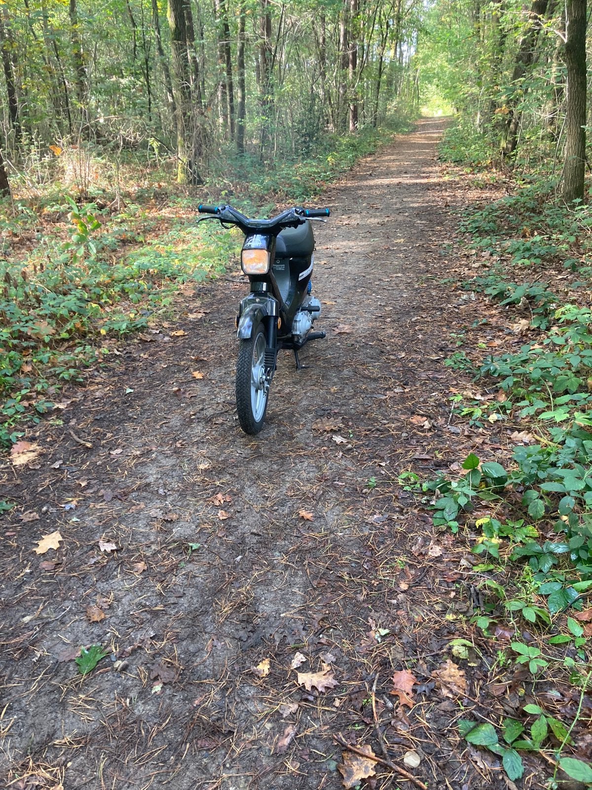 Honda Wallaroo Classe A, Vélos & Vélomoteurs, Autres modèles, 1 vitesses, Enlèvement ou Envoi, Comme neuf