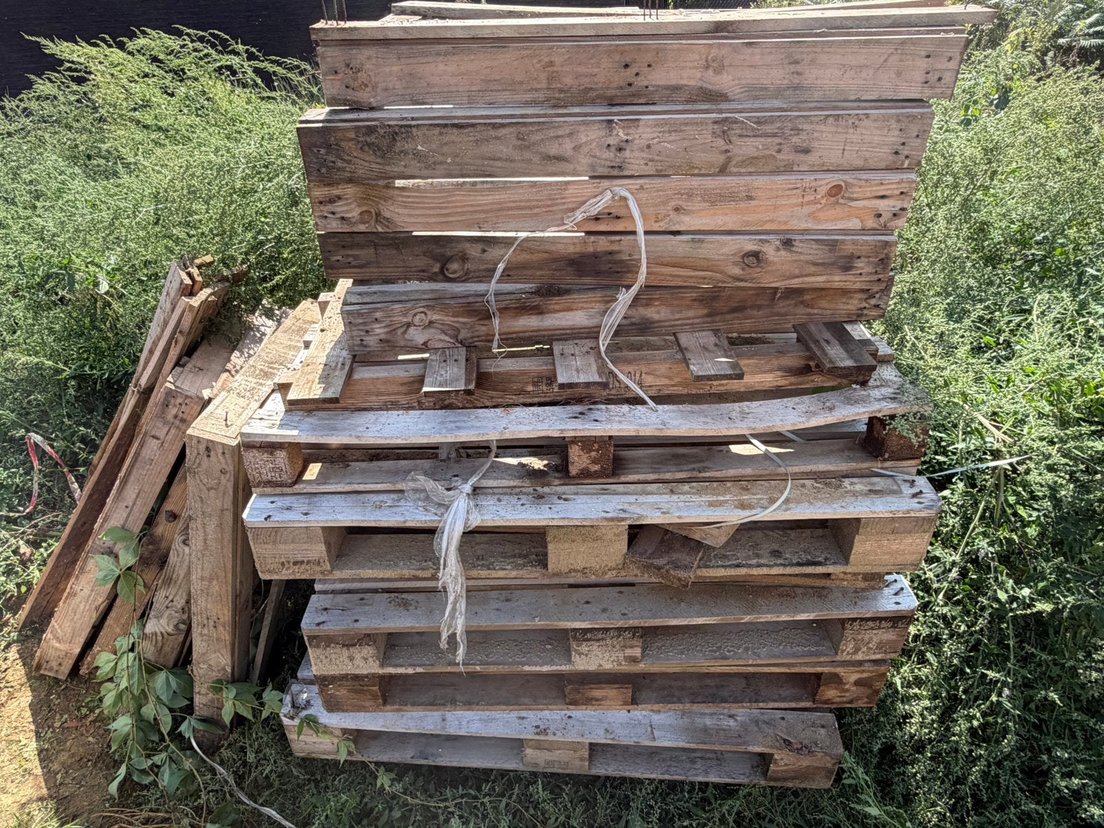Gratis paletten, Ophalen of Verzenden, Zo goed als nieuw