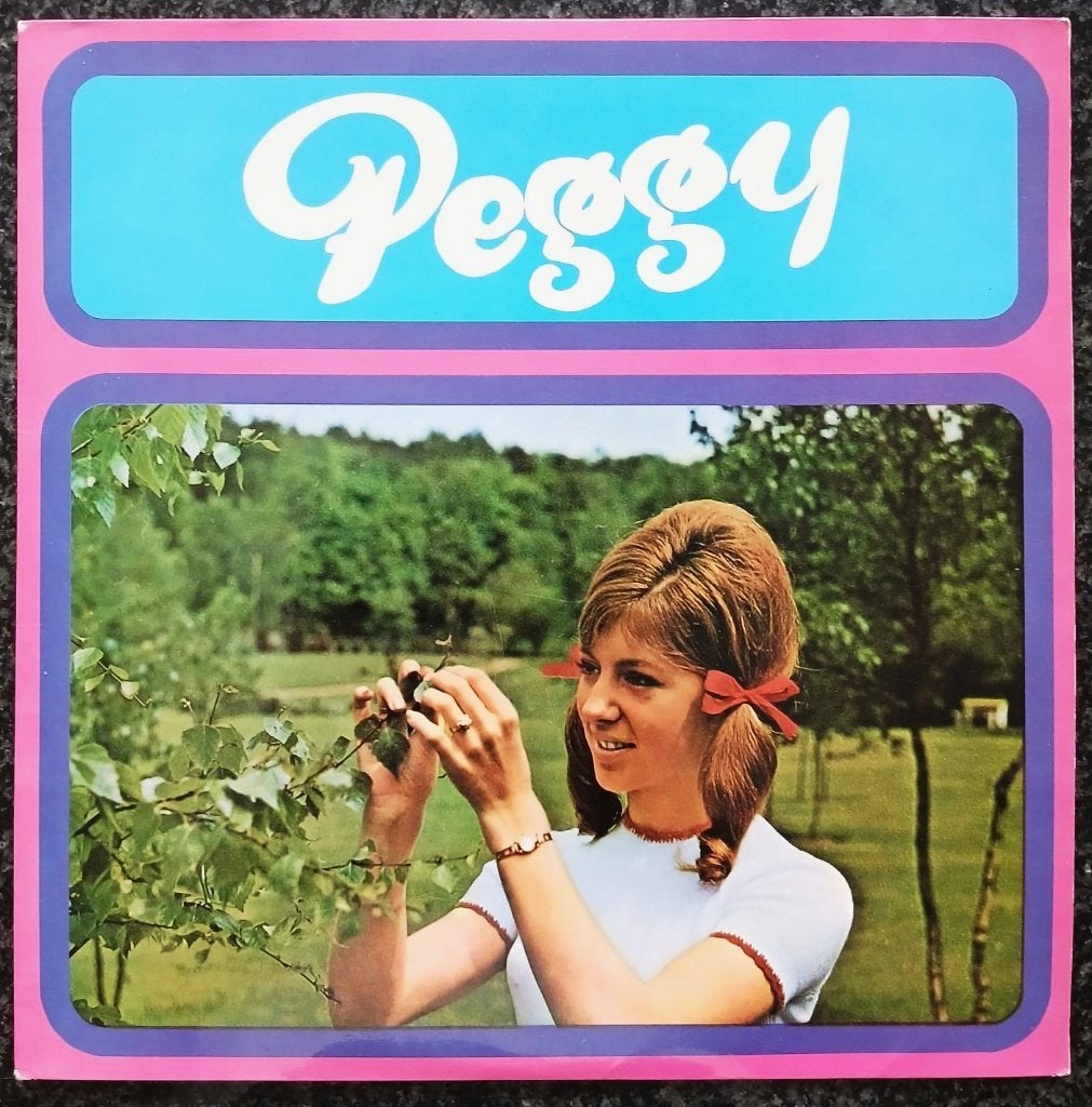 Vinyl LP, CD & DVD, Vinyles | Néerlandophone, Utilisé, Housse de protection extérieure, LP, 12 pouces