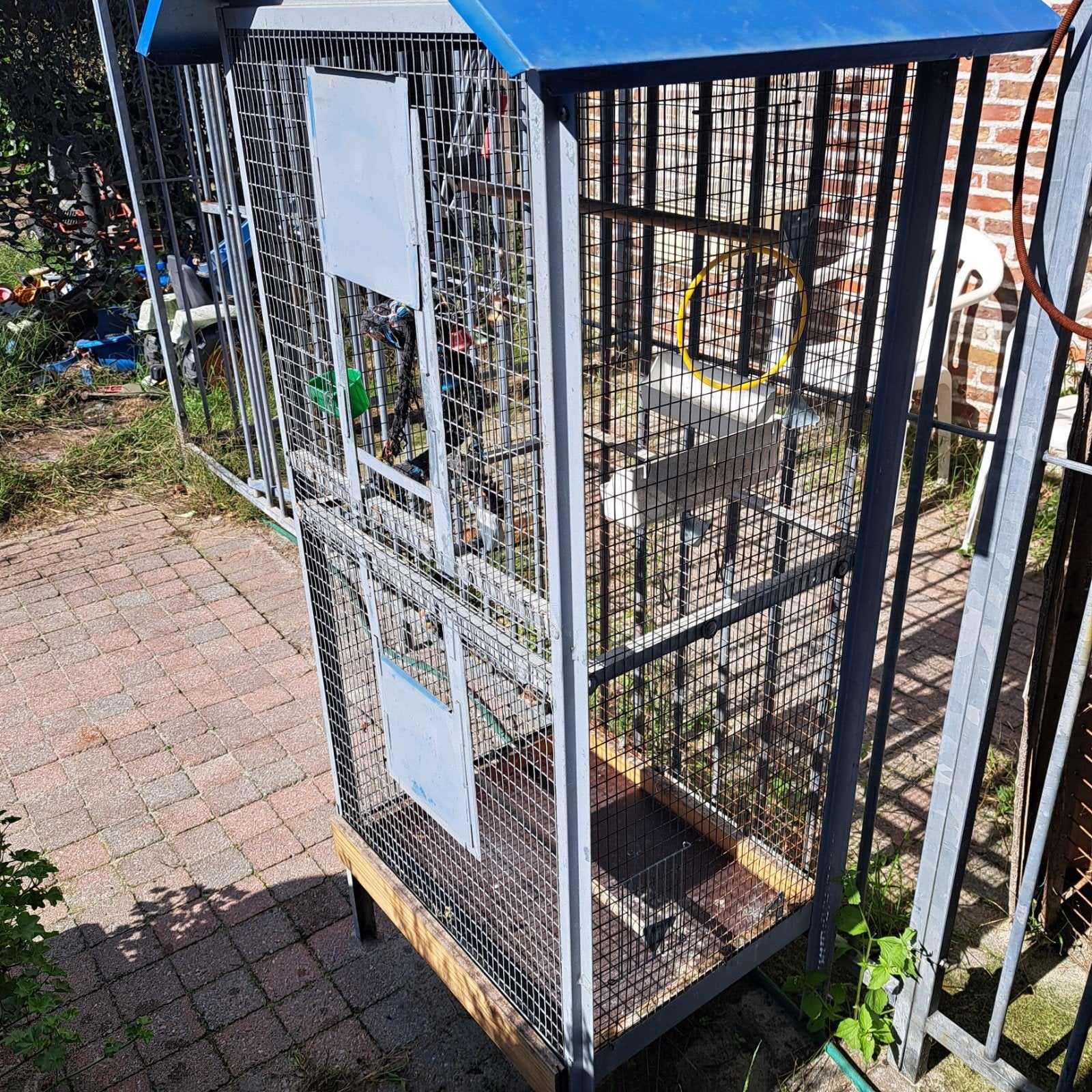 vogel voliere buiten, Dieren en Toebehoren, Ophalen, Gebruikt, Metaal, Volière