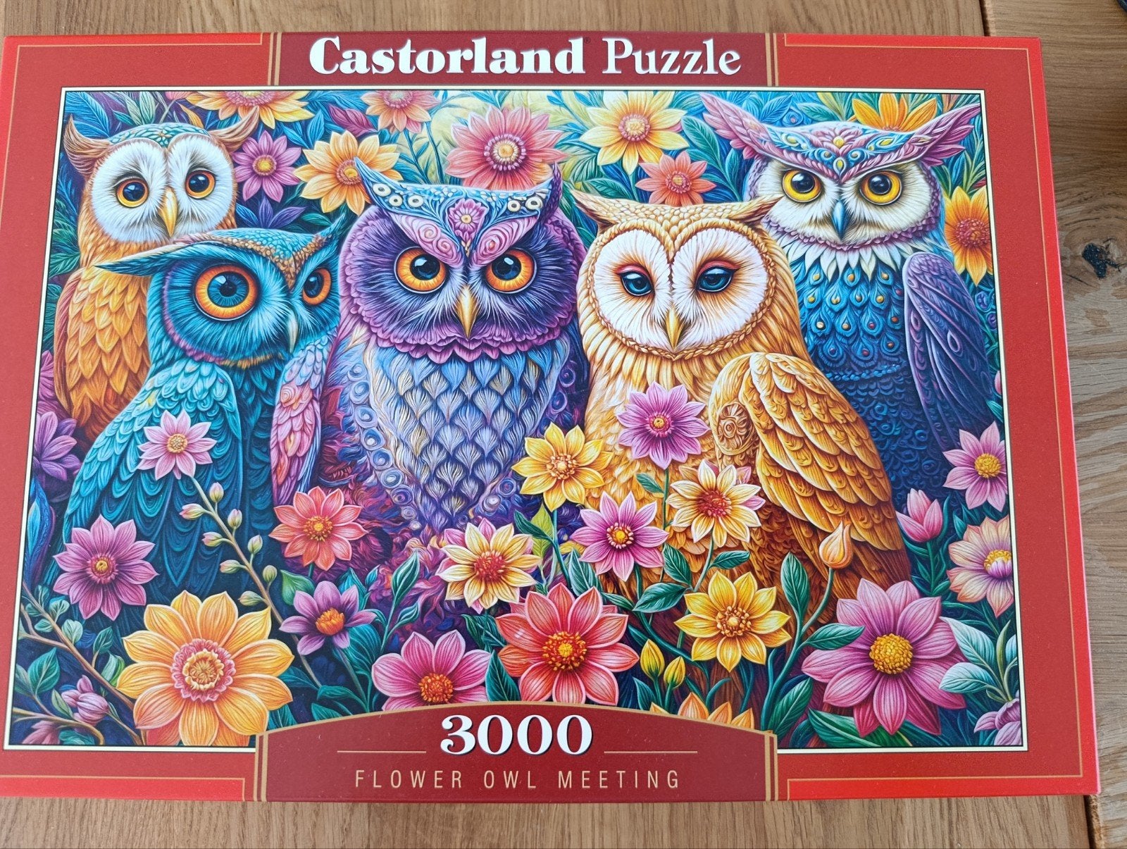 Puzzle de 3000 pièces, Enlèvement ou Envoi, Plus de 1 500 pièces, Comme neuf, Puzzle