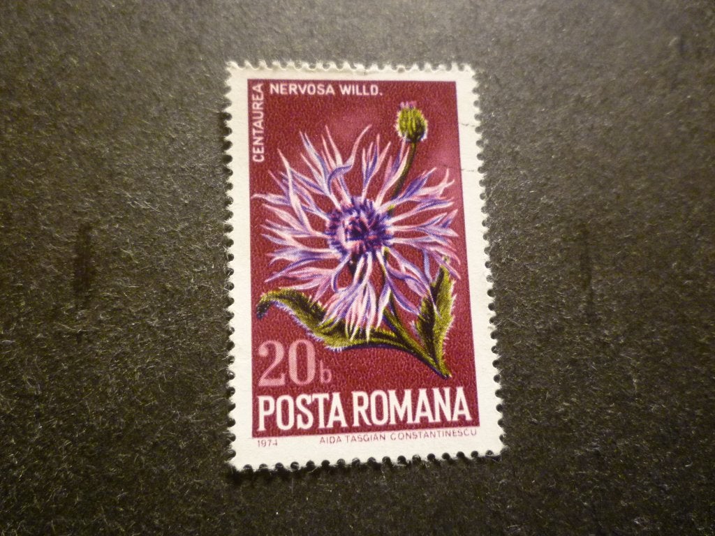 Roemenië/Roumanie 1974 Mi 3224(o) Gestempeld/Oblitéré, Verzenden