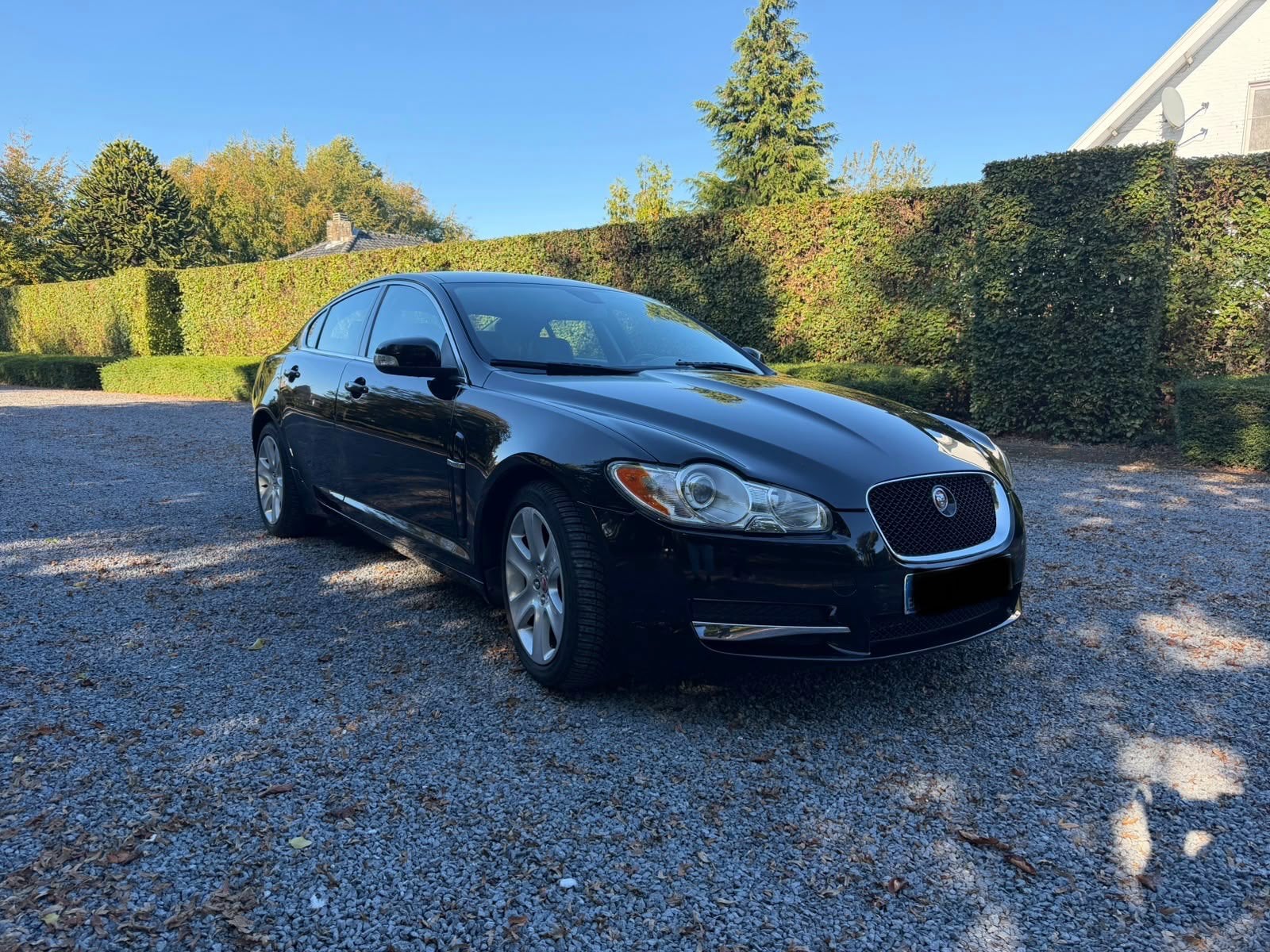 Jaguar XF, Gekeurd voor verkoop., Autos, Particulier, Achat, XF