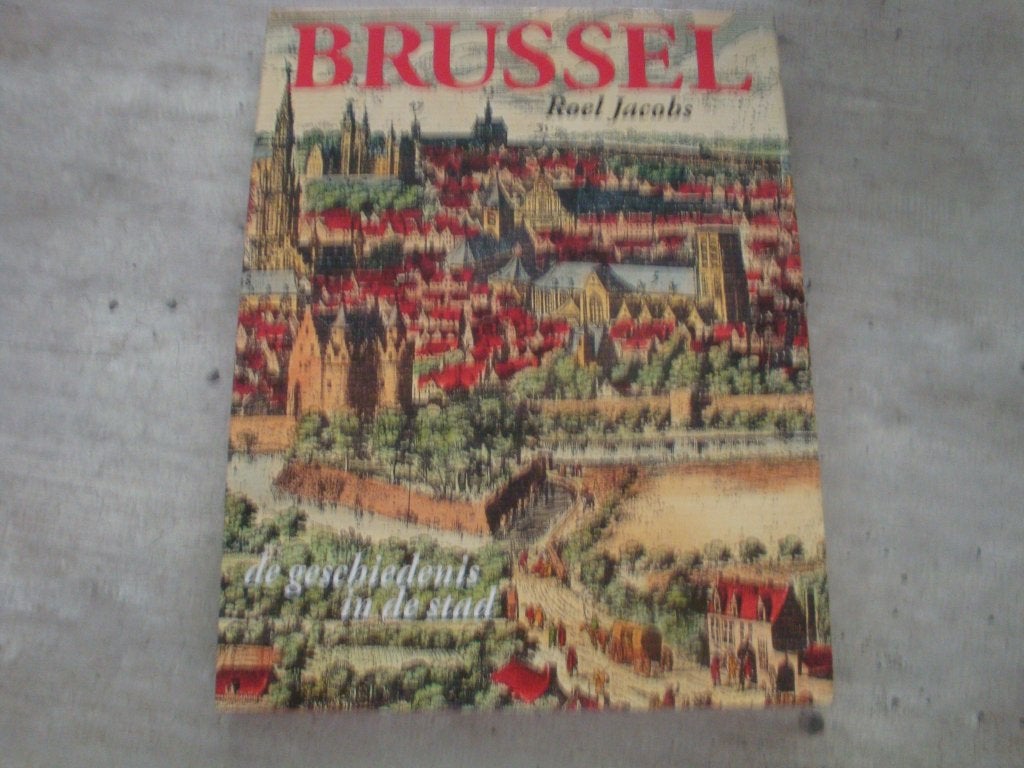 BRUSSEL- DE GESCHIEDENIS IN DE STAD, Ophalen of Verzenden, Gelezen