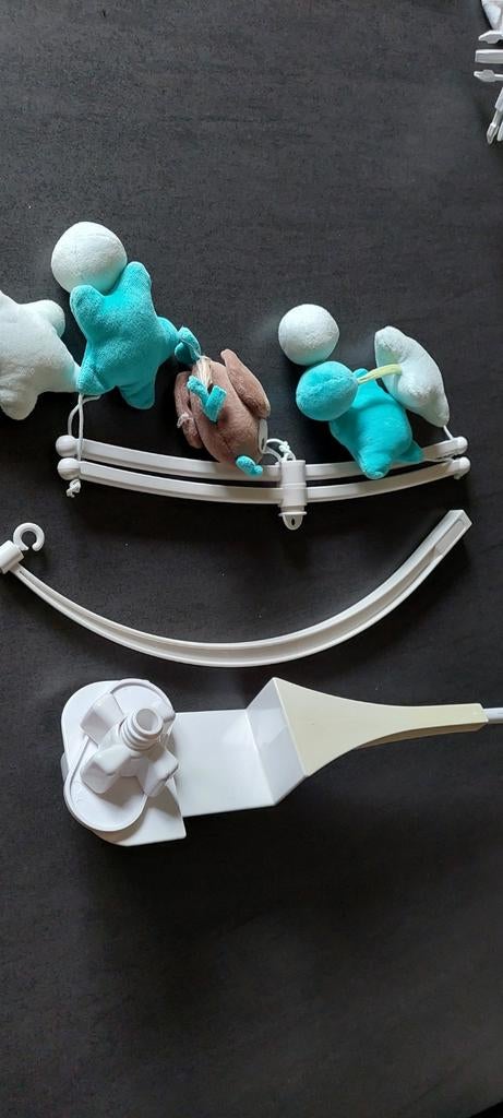 Ciel de parc bébé, Enlèvement