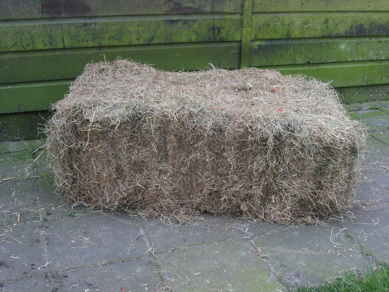 Hooi . Kleine pakken, Dieren en Toebehoren, Ophalen