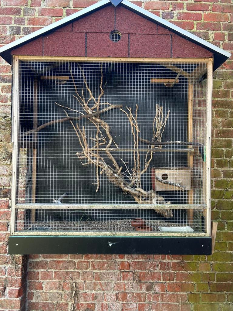 Zelf gemaakte vogel kooi | zelf af te halen, Ophalen, Zo goed als nieuw