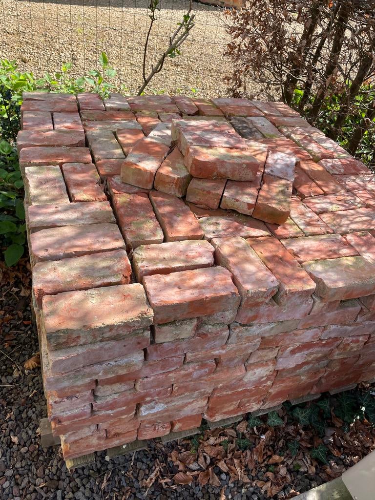 Beerse steen,  730 stuks, Ophalen, Gebruikt, Bakstenen