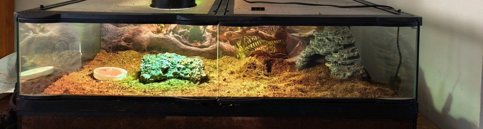 teraruim 95x30x45 tekoop me 2warmte lamp uva a en b, Dieren en Toebehoren, Ophalen