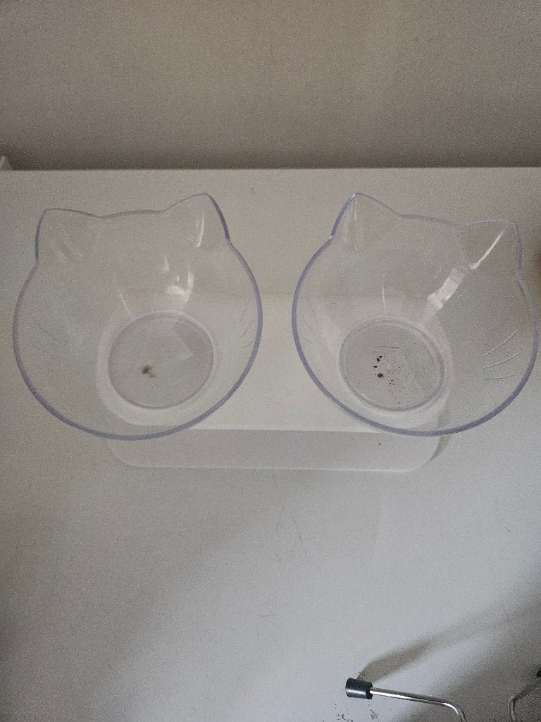 Ergonomische voerbak kat, Dieren en Toebehoren, Kattenvoerbakken en Drinkbakken, Ophalen, Gebruikt