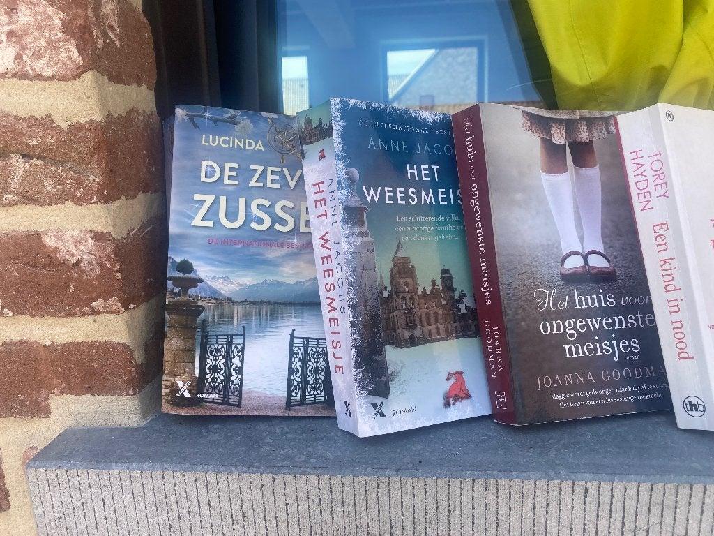 Leesboek, Boeken, Romans, Ophalen, Zo goed als nieuw, Diverse auteurs, Europa overig