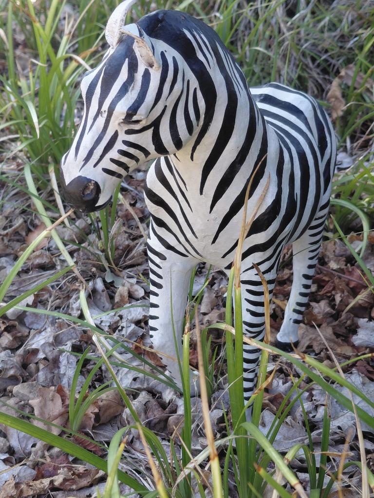 Vintage lederen zebra met glazen ogen - Afrikaanse kunst, Antiek en Kunst, Ophalen of Verzenden