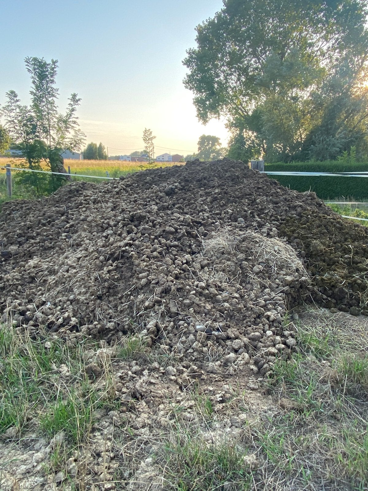 Gratis pure paardenmest, Tuin en Terras, Aarde en Mest, Ophalen, Mest