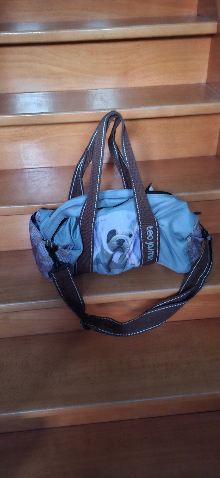 sac teo Jasmin, Enlèvement
