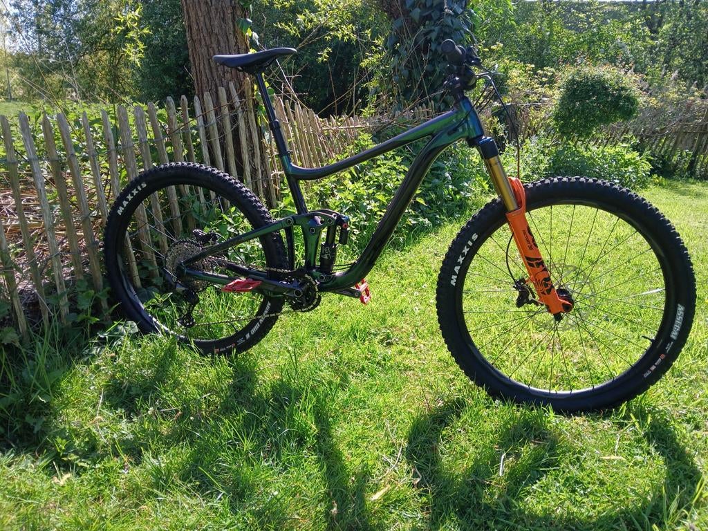 Giant reign 29" large, Ophalen, Giant