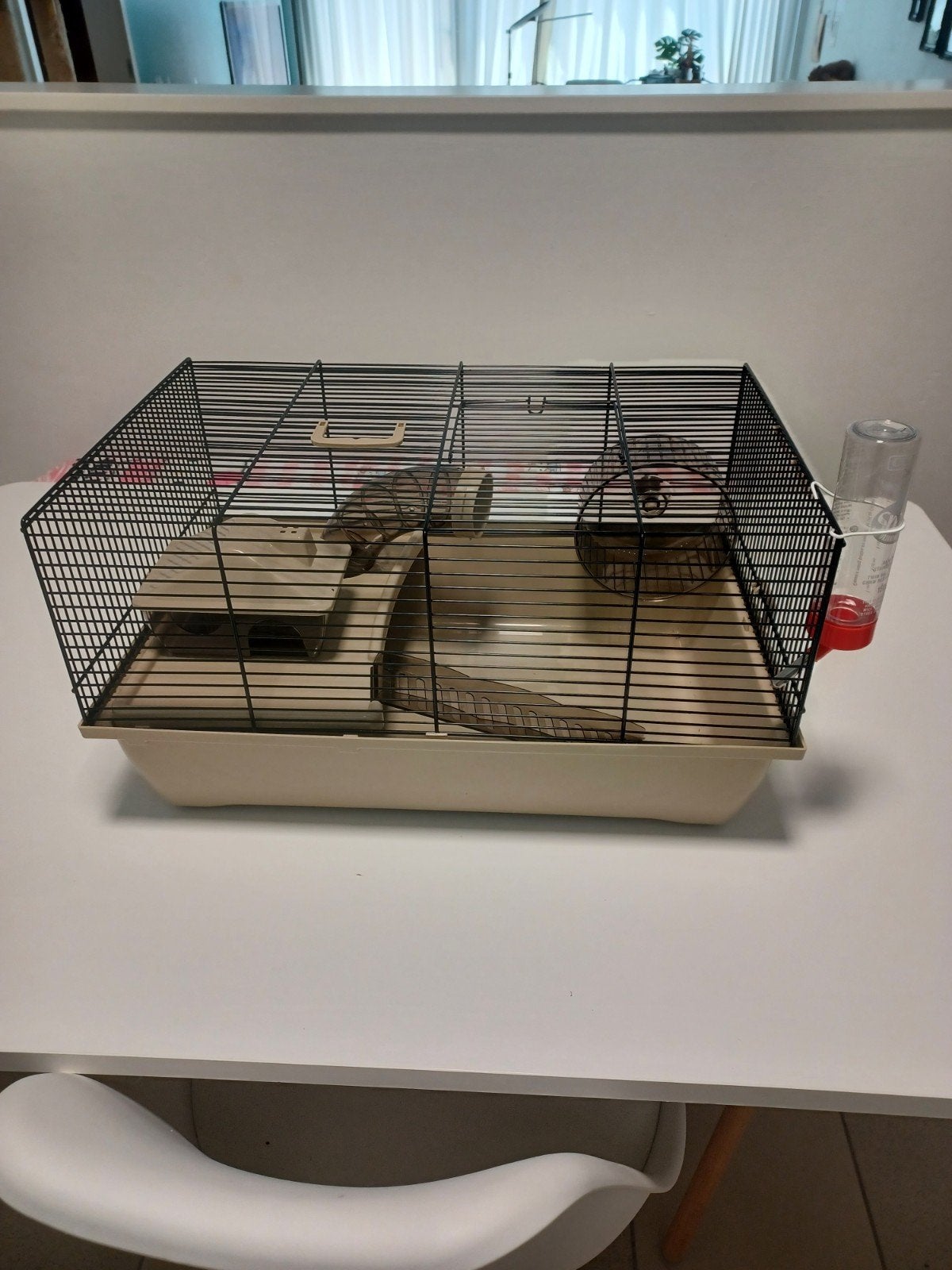 Hamsterkooi + toebehoren, Dieren en Toebehoren, Februari, Hamster, Tam