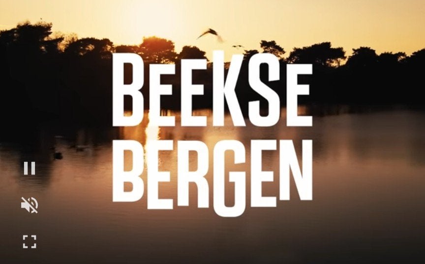 Uitrijticket (=Parkeerticket) Safaripark Beekse Bergen, Tickets en Kaartjes, Overige typen
