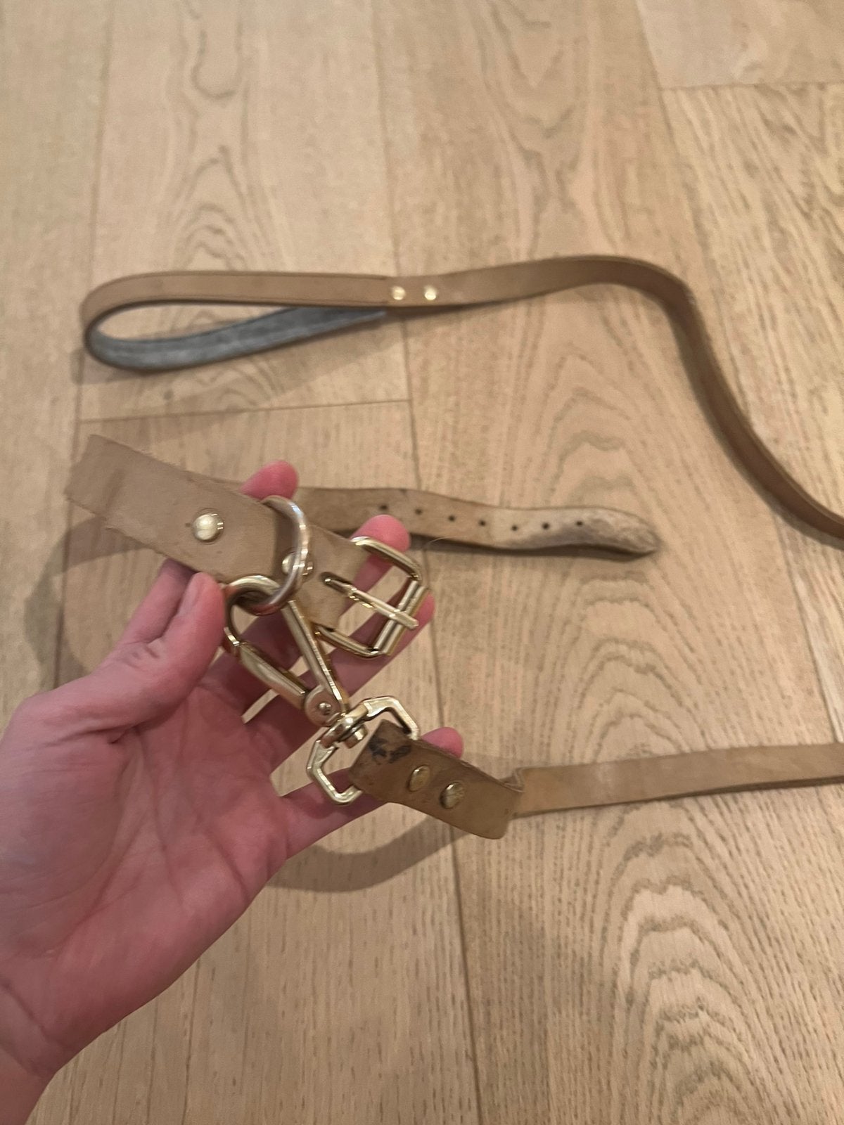 Belle laisse pour chien/laisse de dressage en cuir, Animaux & Accessoires, Enlèvement, Comme neuf, Laisse pour chien