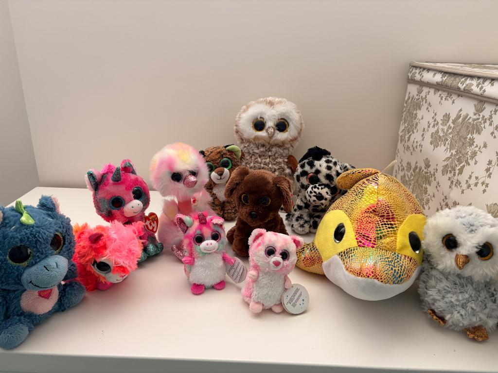 Ty knuffels, Kinderen en Baby's, Speelgoed | Knuffels en Pluche, Ophalen, Zo goed als nieuw, Klein (minder dan 20 cm), Ty
