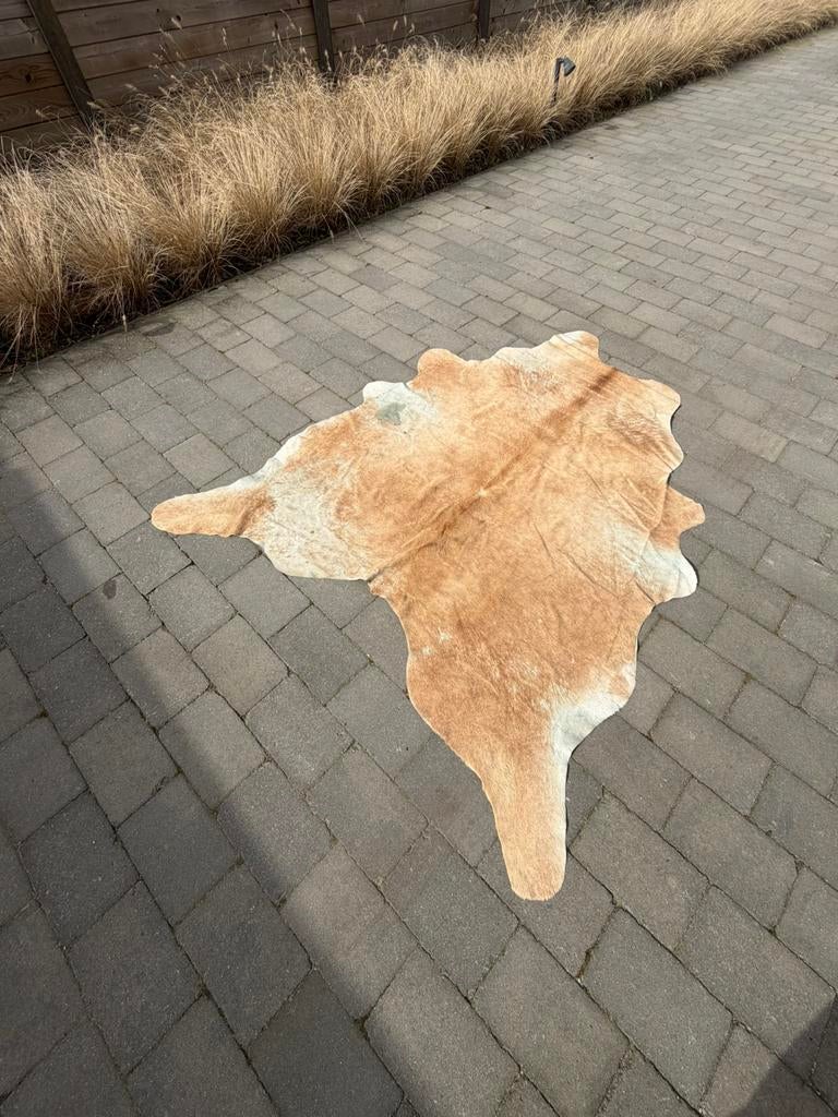 Koeienhuid tapijt, Ophalen, Gebruikt