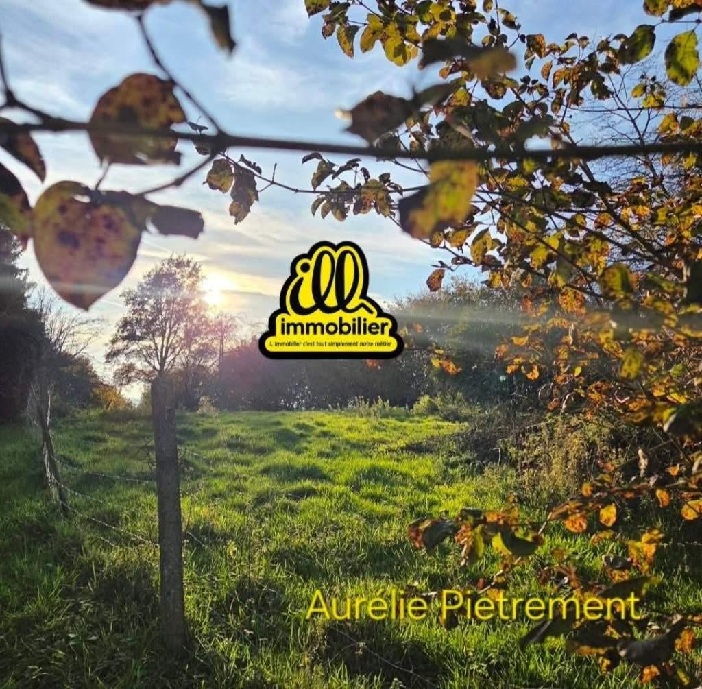 Bouwgrond 2228m², Immo, Gronden en Bouwgronden, France, 1500 m² of meer
