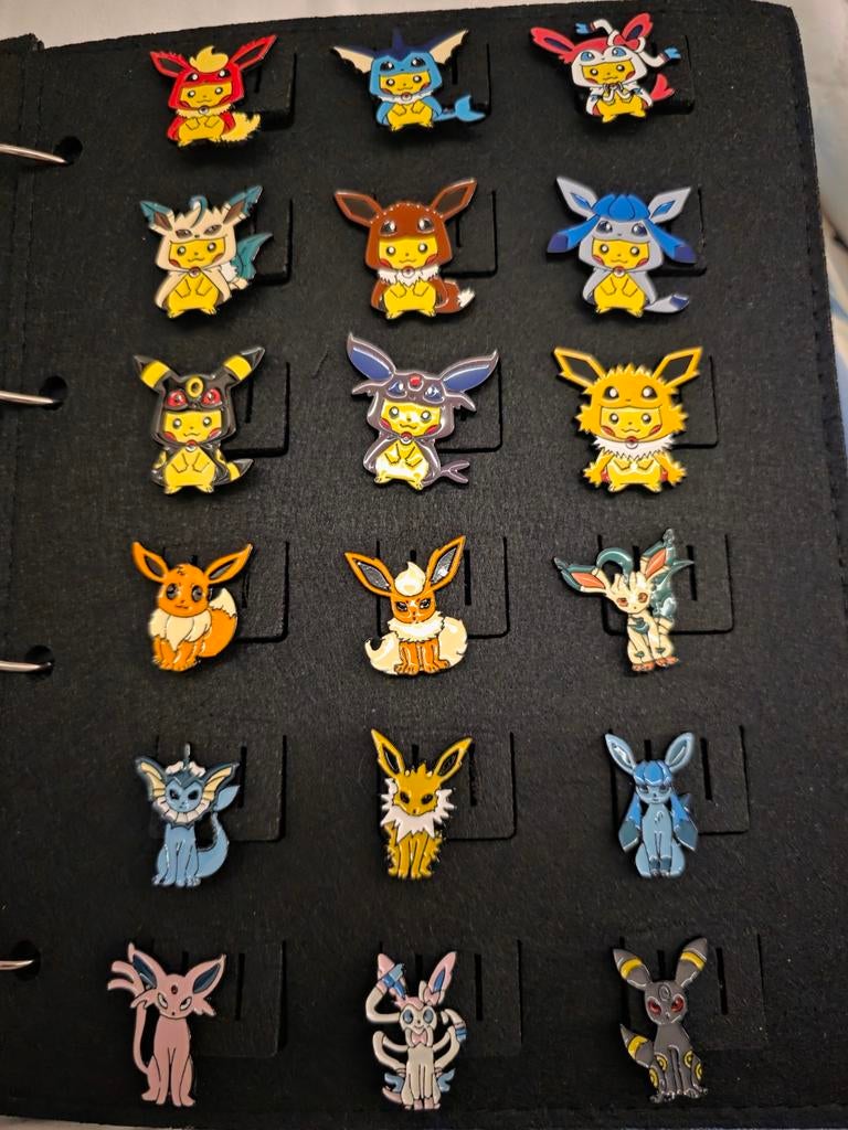 Leuke verschillende Pokémon pins, Enlèvement