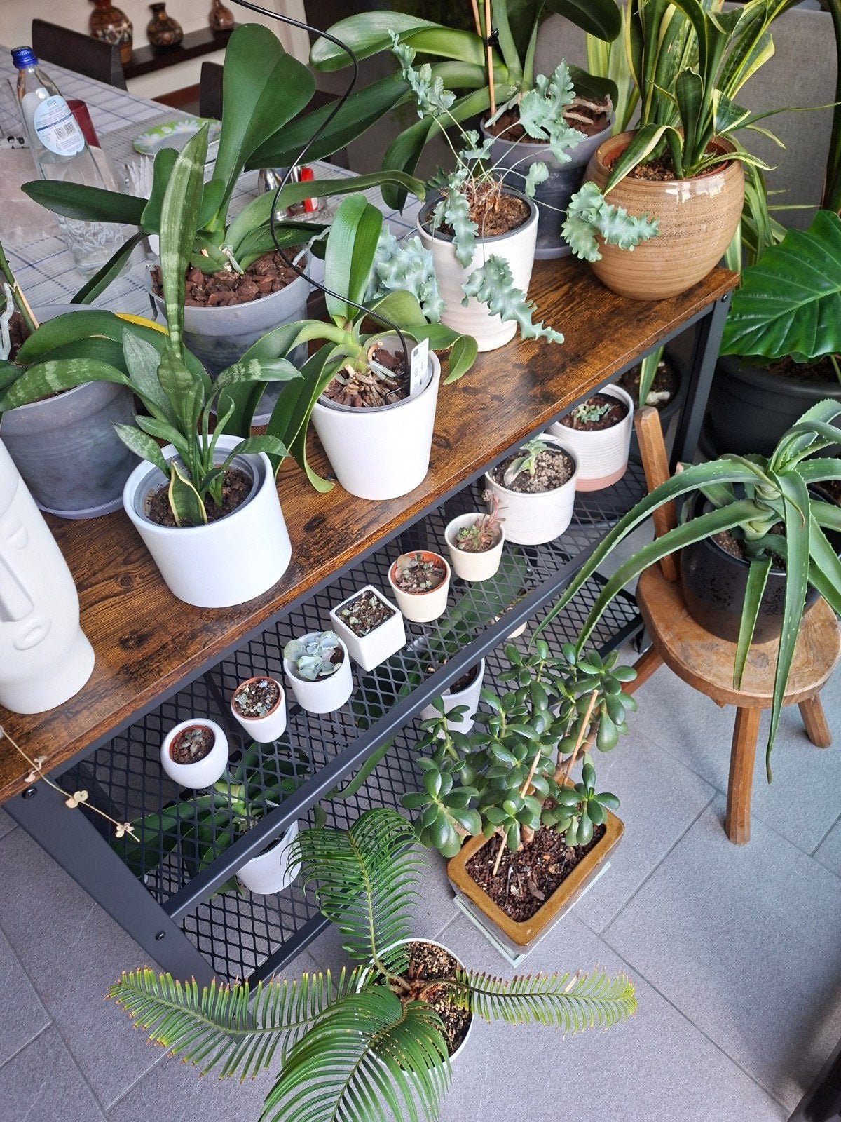 planten, Enlèvement