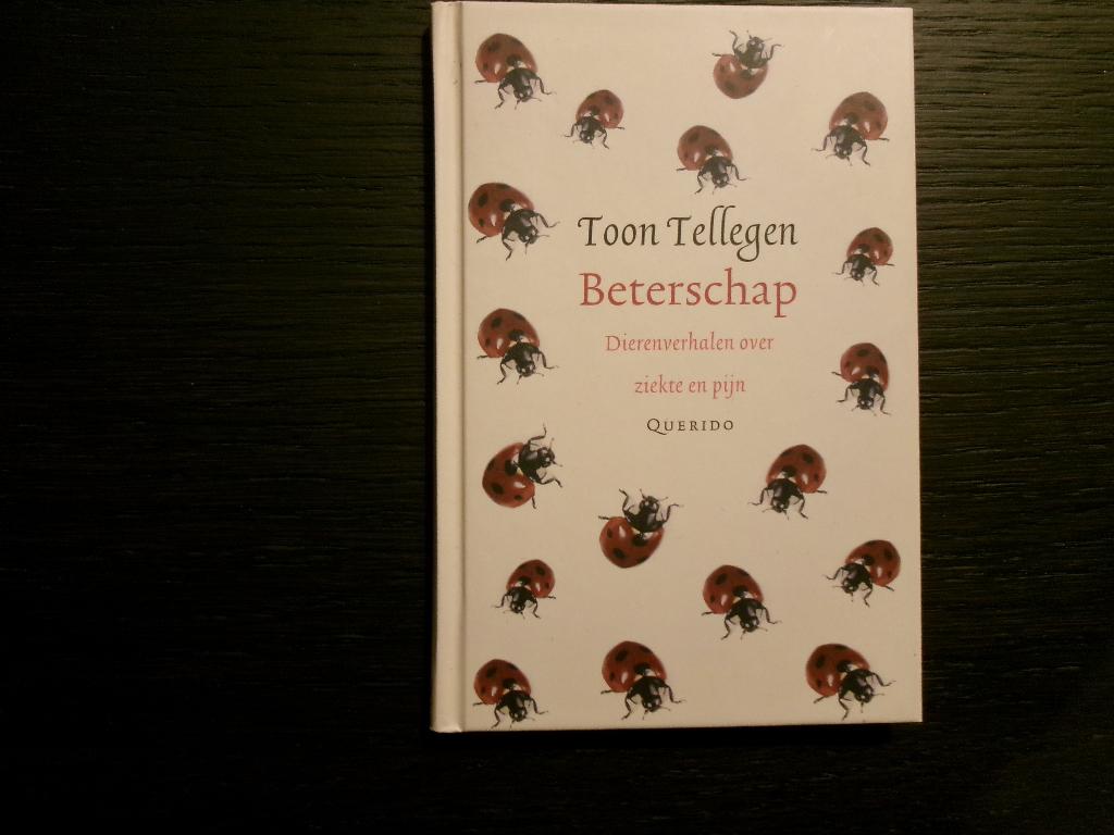 Beterschap  -Toon Tellegen-, Boeken, Ophalen of Verzenden