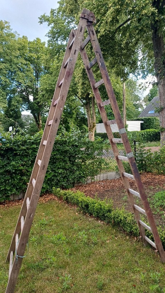 Houten ladder, Doe-het-zelf en Bouw, Ladders en Trappen, Ophalen, Gebruikt, Ladder, Opvouwbaar of Inschuifbaar
