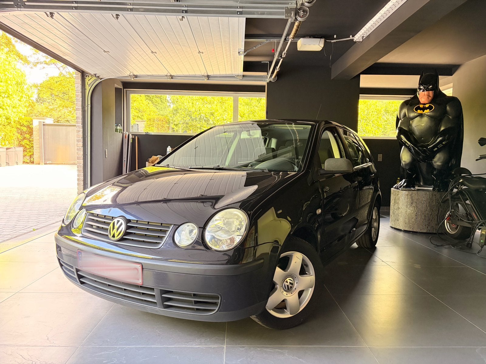 Volkswagen Polo + ROZE BLAD / FEUILLE ROSE, Onderhoudsbeurt