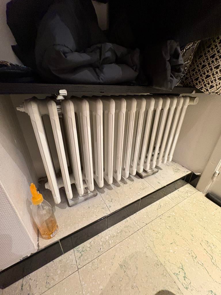 Radiateur en fonte, Ophalen, Zo goed als nieuw, Radiator