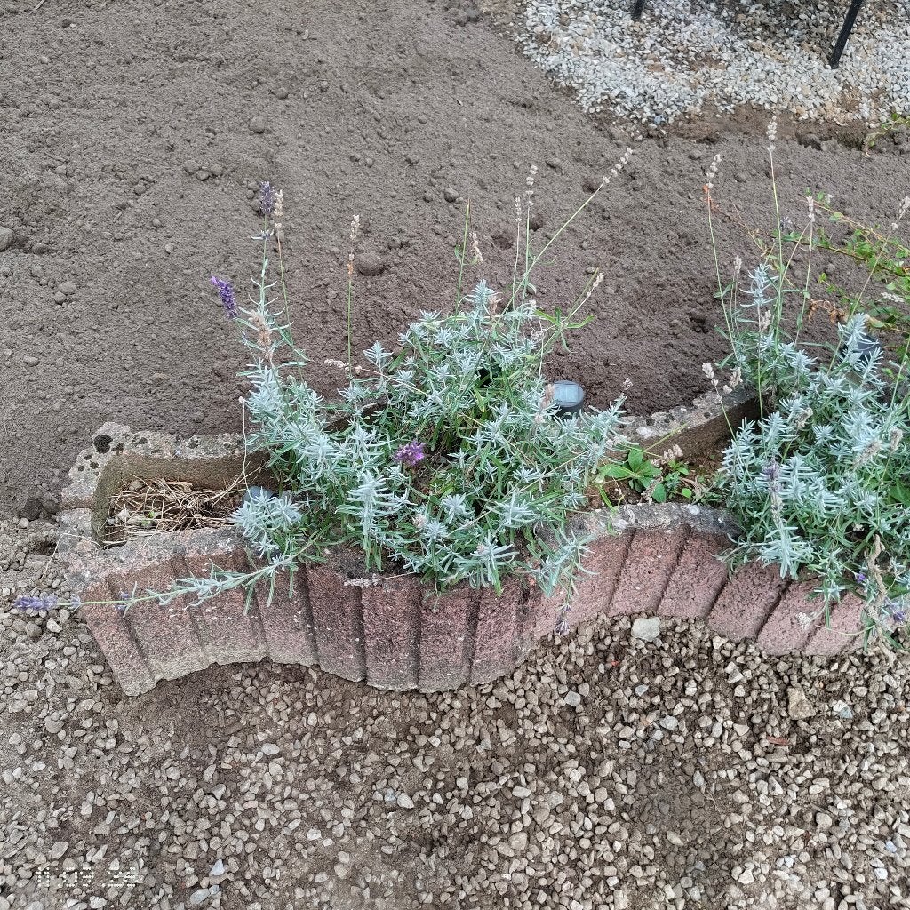 Bacs à fleurs en béton, Béton, 30 à 60 cm, Enlèvement, Utilisé