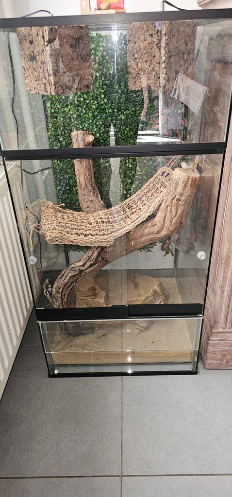 Terrarium, Dieren en Toebehoren, Ophalen