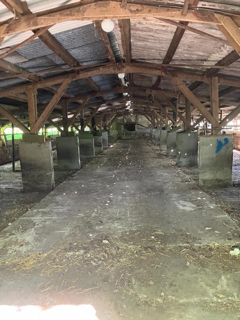 Te Huur Open Hangar en Opslagruimte, Zakelijke goederen, Ophalen of Verzenden, Overige bestemmingen