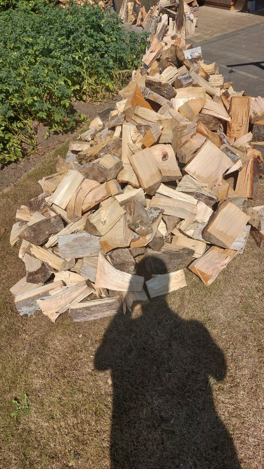 brandhout, 1,2 cuub., Tuin en Terras, Brandhout, Ophalen
