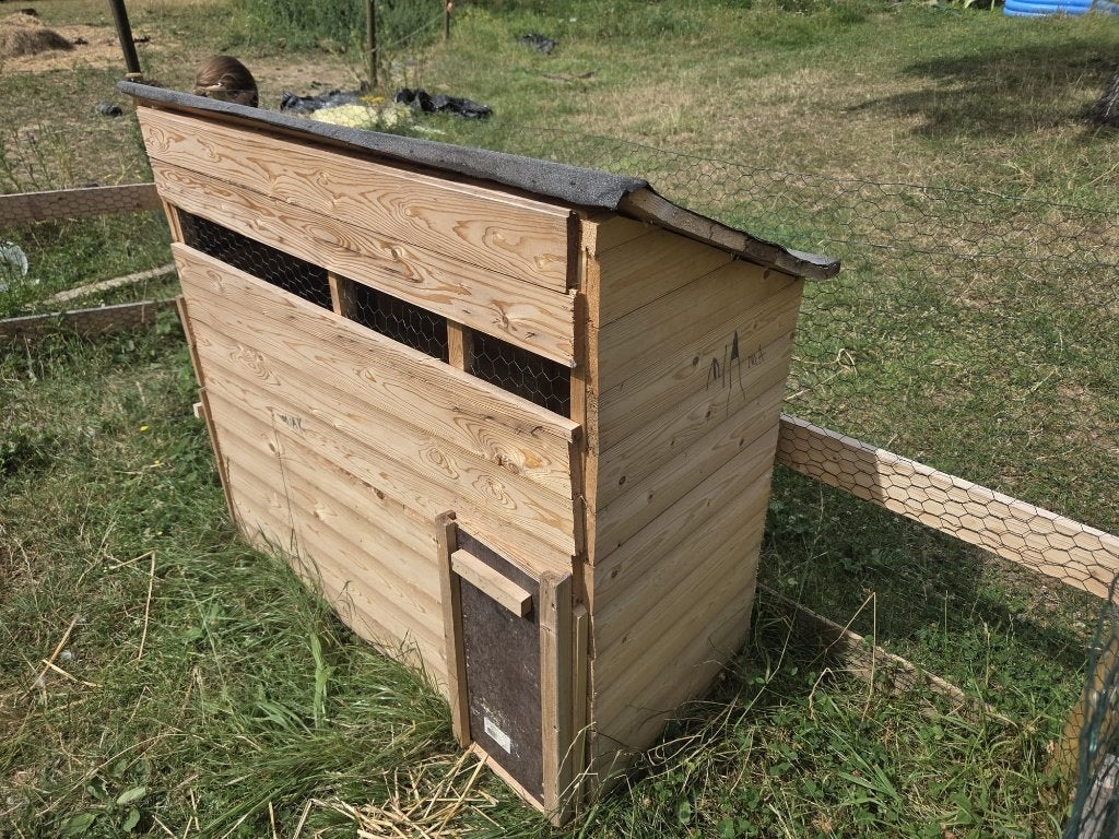 Abri pour poules ou canards, Dieren en Toebehoren, Pluimvee | Toebehoren, Zo goed als nieuw, Kippenhok of Kippenren, Ophalen
