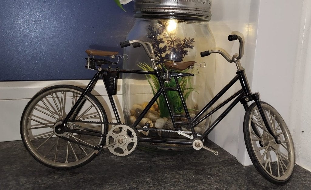 mooie fiets decoratie  fiets, Fietsen en Brommers, Ophalen
