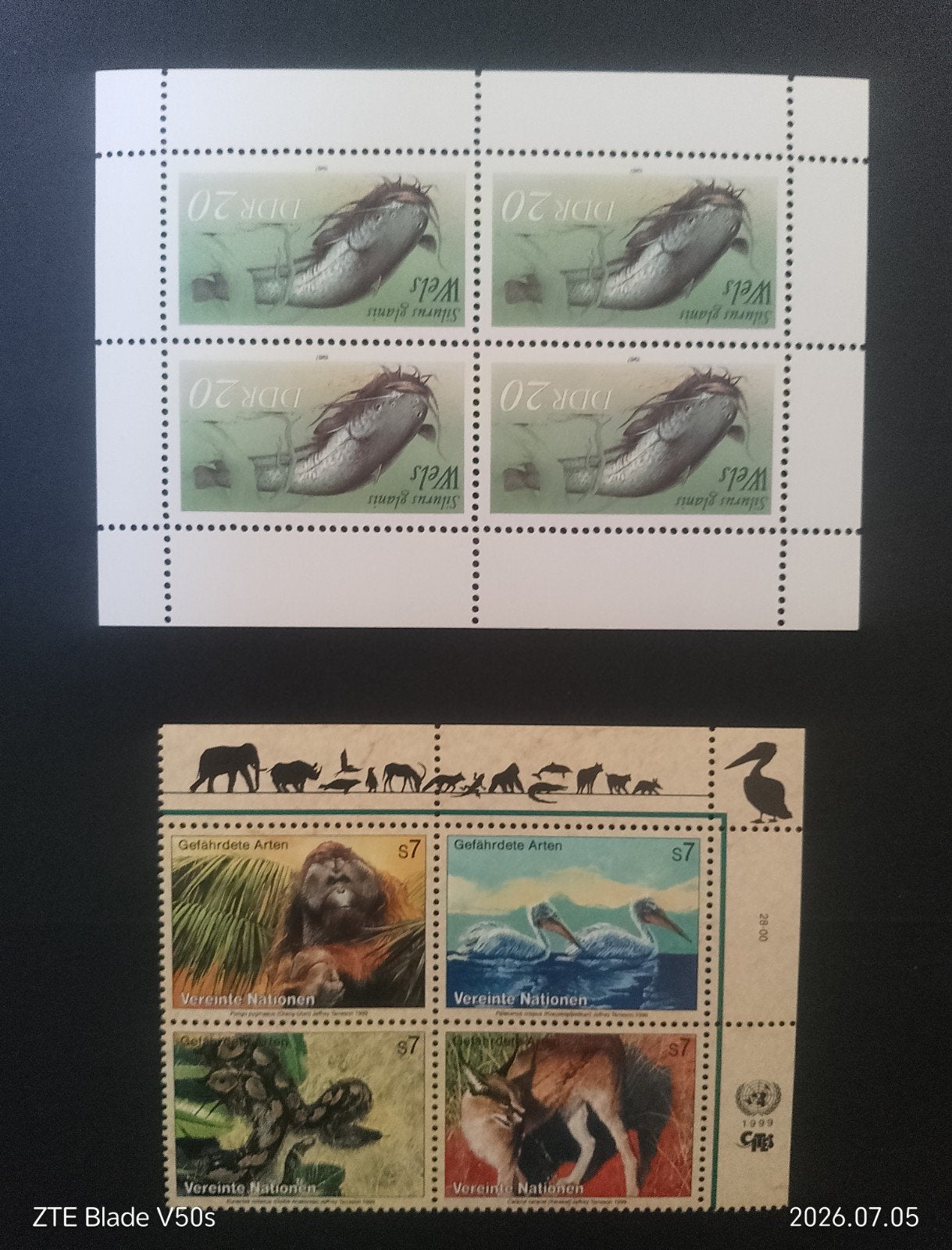 Carte postale avec timbres Fisch Diere, Enlèvement ou Envoi
