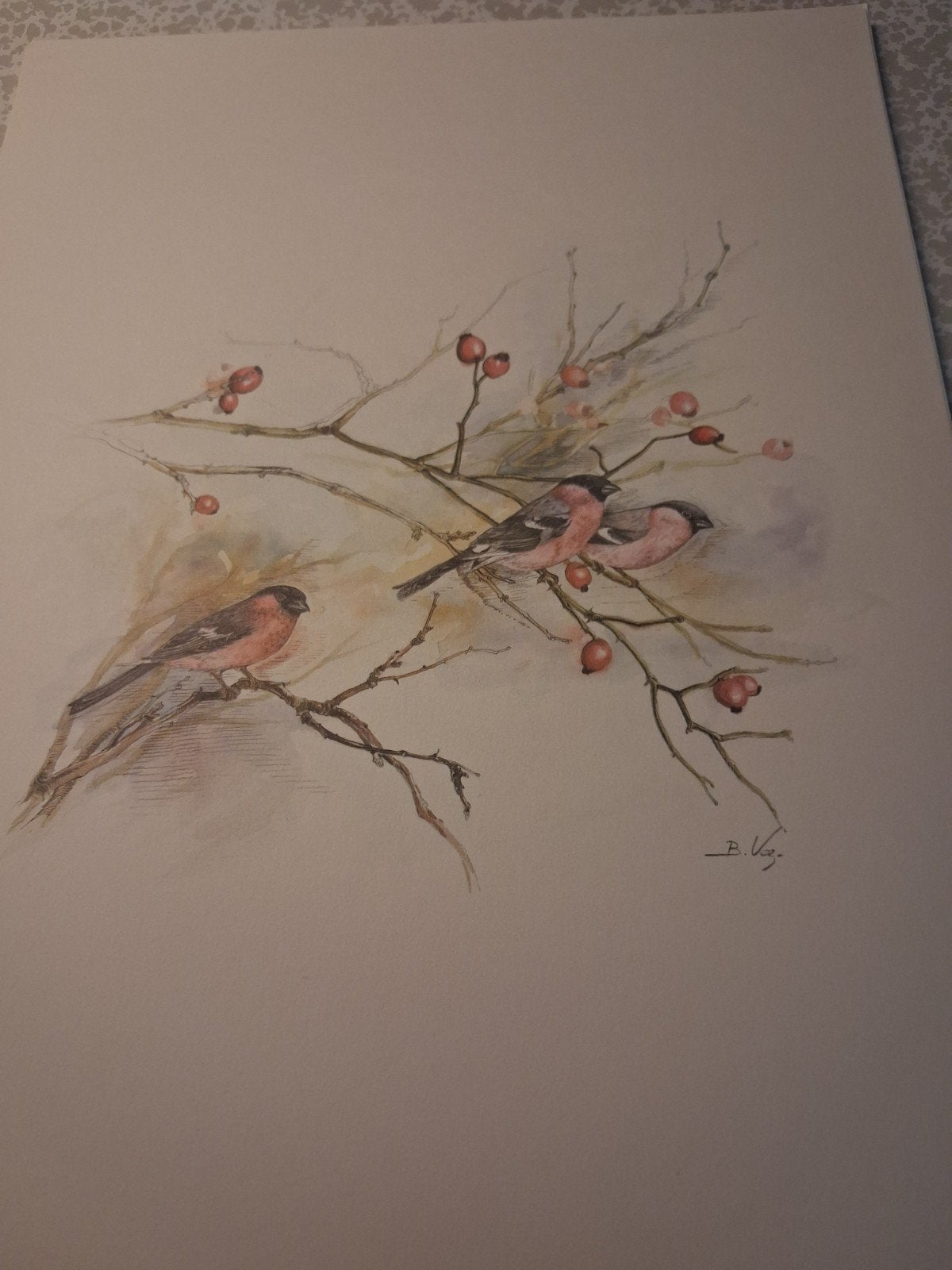 19 lithos van bernadette voz, 30 x 40 cm, Ophalen