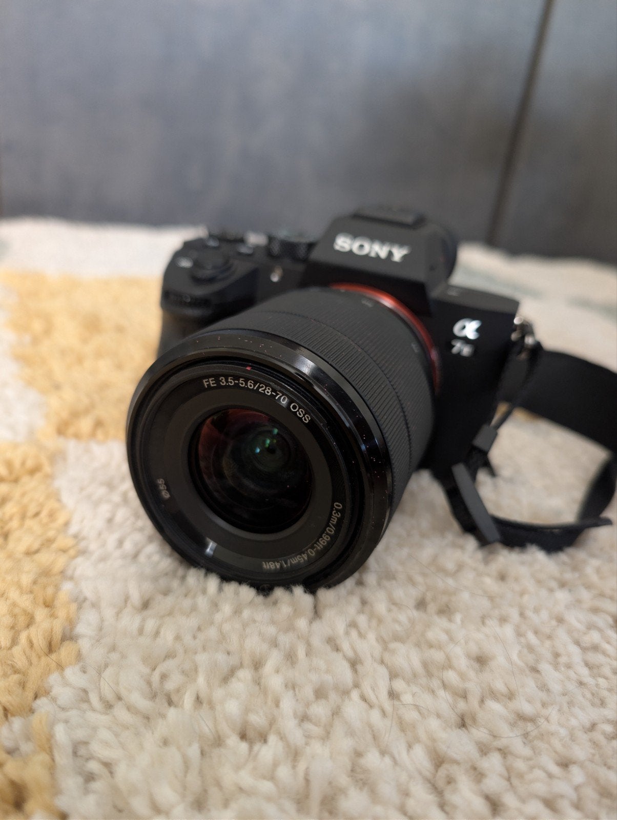 Sony A7 iii, TV, Hi-fi & Vidéo, Enlèvement, Utilisé, Sony