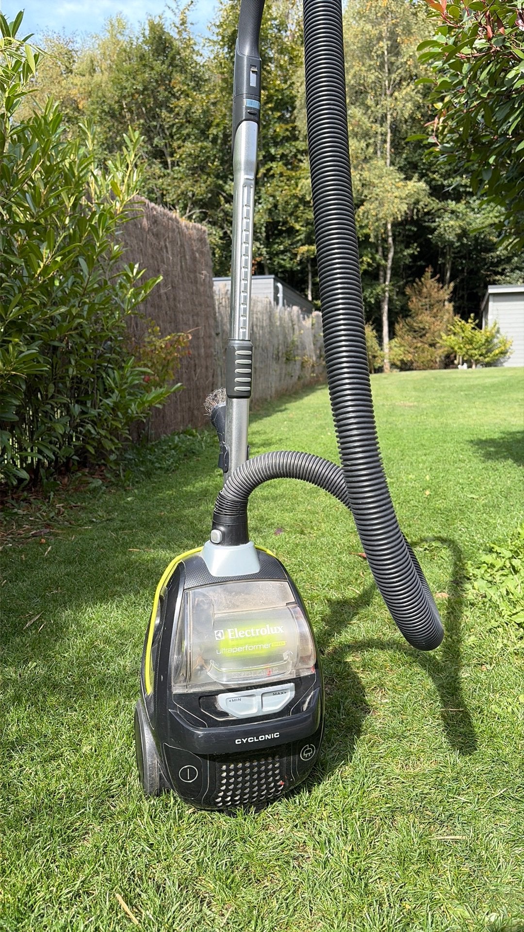 Aspirateur  sans sac Electrolux, Electroménager, Enlèvement, Utilisé