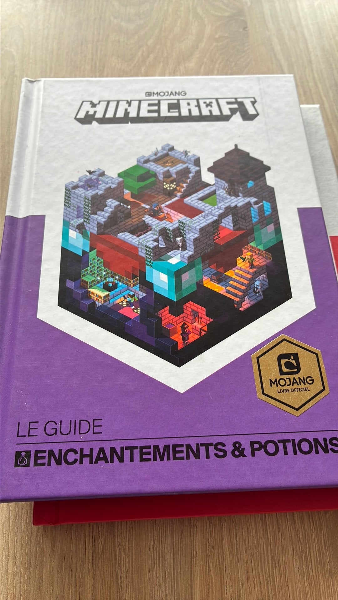 Minecraft le guide des enchantements et potions, Livres, Livres pour enfants | Jeunesse | Moins de 10 ans, Enlèvement
