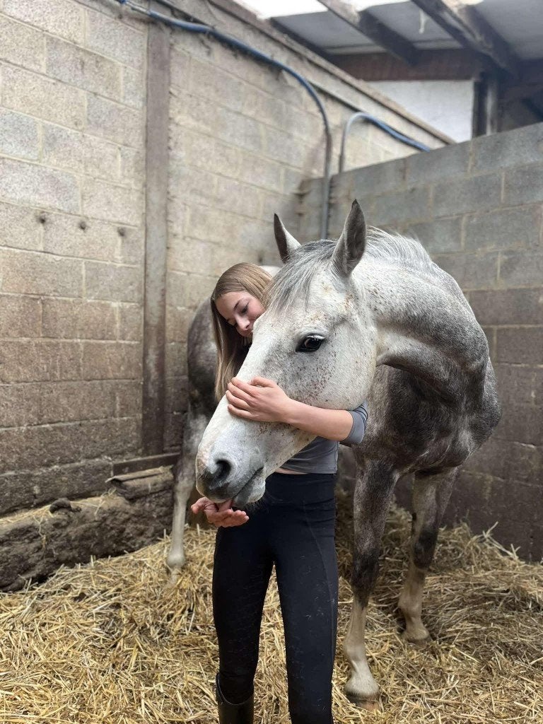 Allround  top paard (zangersheide merrie), Dieren en Toebehoren, Merrie, Springpaard, Met stamboom, Niet van toepassing