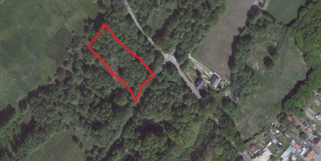 Grond/bomen Helchteren, Immo, Houthalen-Helchteren, Tot 200 m²