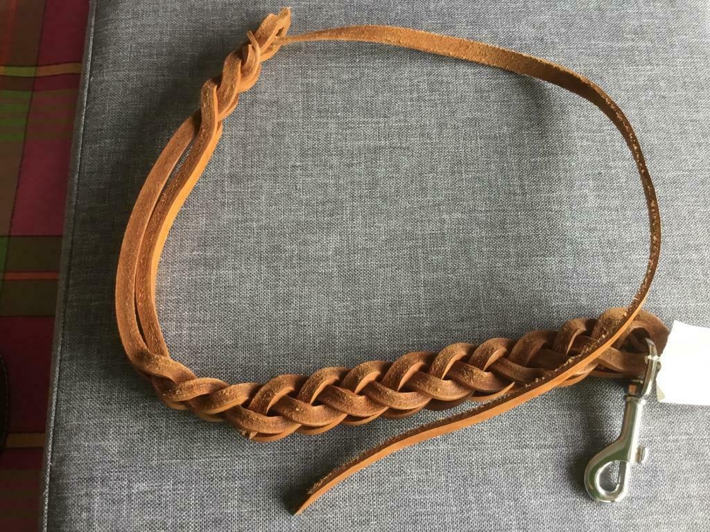Nieuwe lederen gevlochten leiband, Ophalen of Verzenden, Nieuw