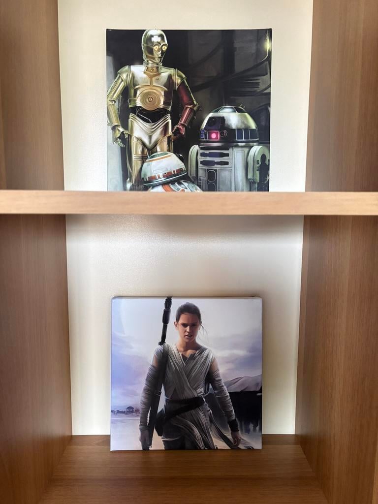 6x canvas Star Wars, Ophalen of Verzenden, Nieuw