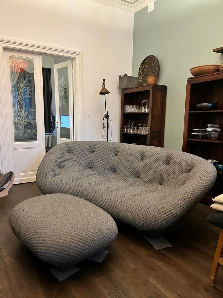 Canapé Ploum Ligne Roset, Trois personnes, 250 à 300 cm, 125 à 150 cm, Enlèvement