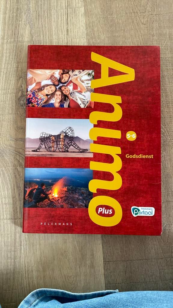 Animo plus (Godsdienst voor 5de en 6de middelbaar), Boeken, Ophalen, Zo goed als nieuw, Godsdienst en Levensbeschouwing